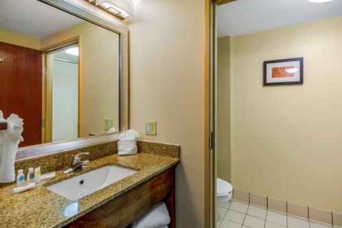 a bathroom with a sink and a mirror and a toilet at Comfort Suites Manassas Battlefield Park in Manassas