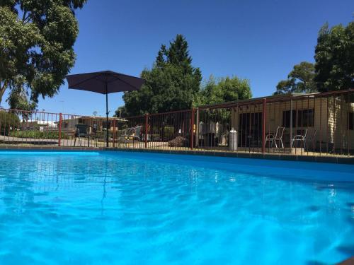 Bazén v ubytování Acacia Caravan Park & Holiday Units nebo v jeho okolí