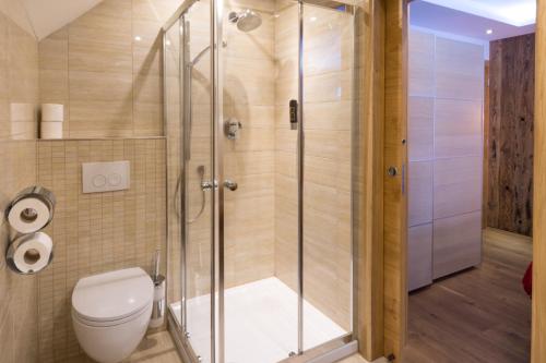 a bathroom with a shower and a toilet at Villa Ambach in Oetz