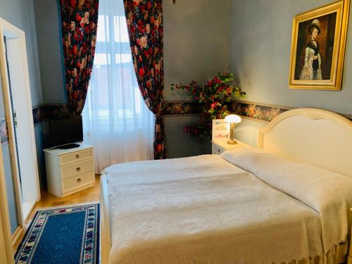 a bedroom with a bed and a television in it at Pension Šejko in Horní Planá
