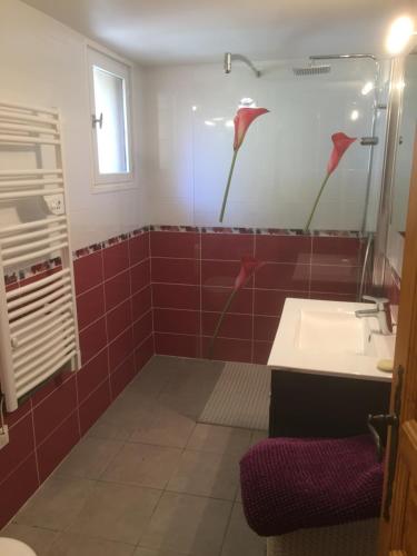 La salle de bains est pourvue de carrelage rouge, d'un lavabo et d'une douche. dans l'établissement Lieu dit les Allemands, à Embrun
