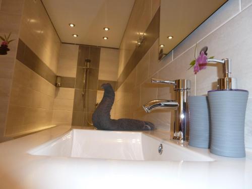 a bathroom sink with a black animal sitting on it at LE PIOU in Annecy