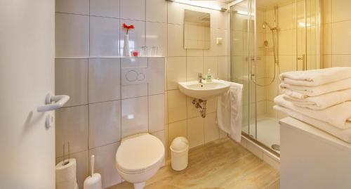 a bathroom with a toilet and a sink and a shower at Zum alten Hauptmann in Großfahner