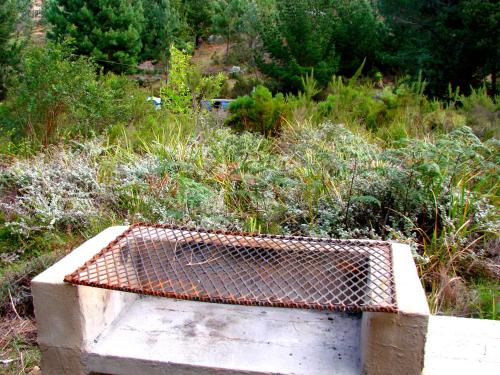 a concrete box in a field with bushes and trees at Hindthausen in Knysna