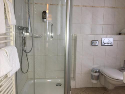 a bathroom with a shower and a toilet at Weinhotel Römerbad in Bad Salzuflen