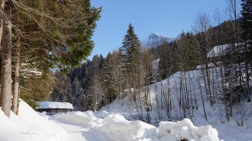 a snow covered road with trees on a mountain at Haus Edeltraud in Mellau