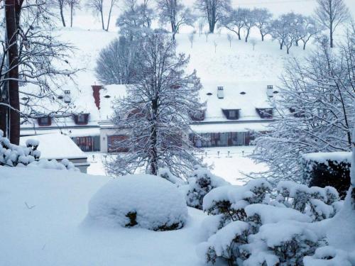 a snow covered yard with trees and houses at Schloss Thalheim in Sankt Pölten