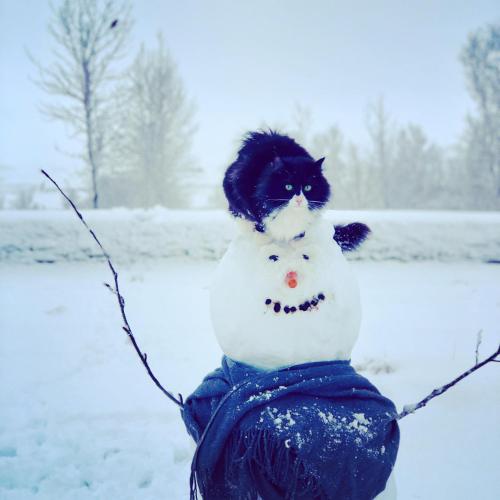 a snowman with a cat on its head in the snow at The White House in Reykholt