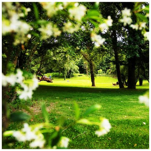 Taman di luar NG Sapanca Wellness & Convention