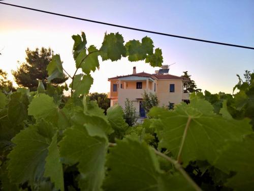 a house behind a bunch of green leaves at Villa Marita in Lisvórion