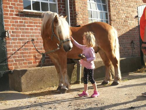 a little girl is petting a brown horse at Ferienhof Utech in Wenkendorf auf Fehmarn