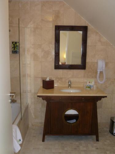 a bathroom with a sink and a mirror and a shower at Les Pagodes de Beauval in Saint-Aignan