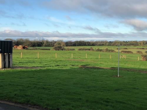 a field of green grass with horses in the distance at Curraghchase Cottage in Kilcornan