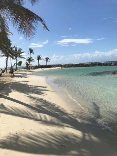 a sandy beach with palm trees and the ocean at Eden Blue in Sainte-Anne