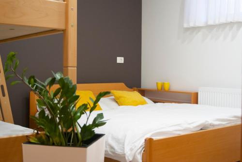 a bedroom with a bunk bed and a potted plant at Rooms & Apartments Kepic, AIRPORT accomodation in Cerklje na Gorenjskem