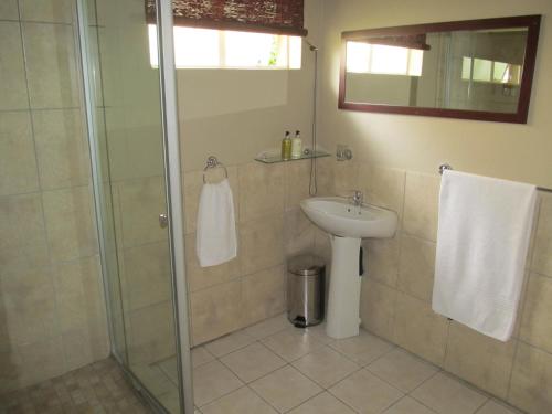 a bathroom with a shower and a sink at Fin and Feather Guest Lodge in Boksburg