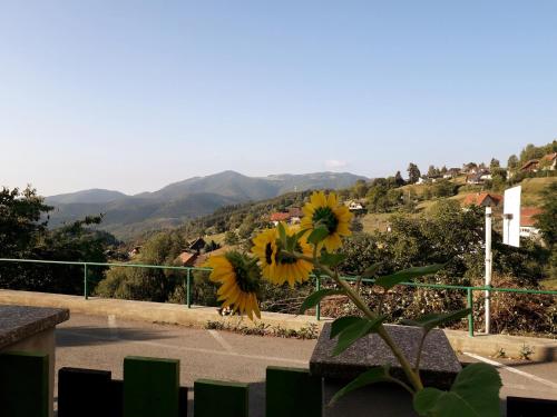 Vista general de una montaña o vista desde el bed and breakfast