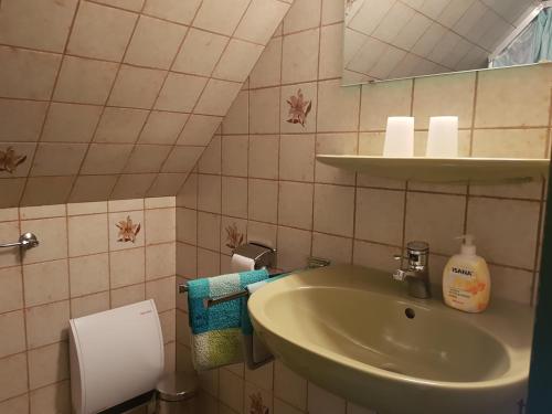 un baño con lavabo y espejo en Hausnordlicht Dachspitze, en Dornumergrode