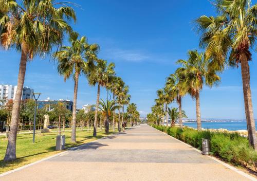 a sidewalk lined with palm trees next to the ocean at Limassol Old Town Mansion in Limassol