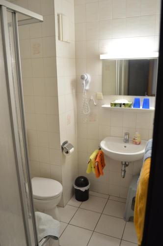 a bathroom with a toilet and a sink at Pension Tiffany in Chemnitz