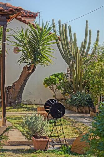 a tripod in a garden with cactuses and plants at Ancient Corinth Guest House in Kórinthos