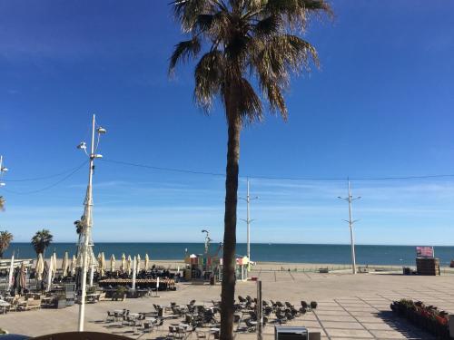 a palm tree next to a beach with the ocean at Appartement Front de Mer in Canet-en-Roussillon