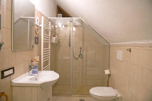 a bathroom with a shower and a toilet and a sink at I trulli di Ginevra in Alberobello
