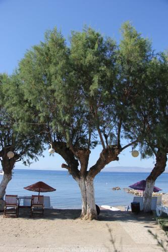 Fotografie z fotogalerie ubytování Yilmaz Hotel v destinaci Ortakent