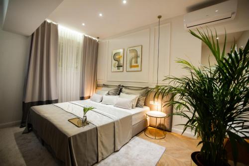 1 dormitorio con 1 cama y una maceta en Club boutique rooms, en Split