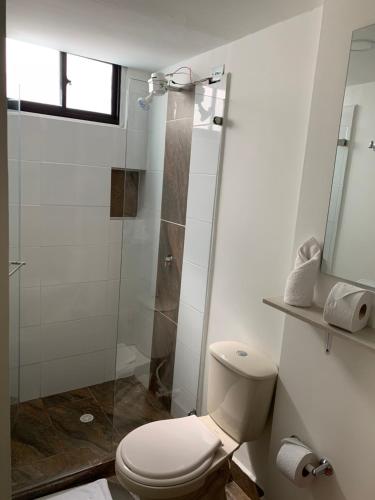 a bathroom with a toilet and a glass shower at Hotel Mirador San Esteban in La Tebaida