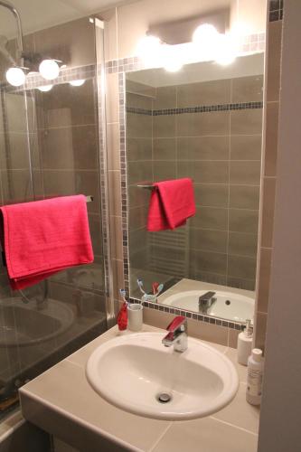 La salle de bains est pourvue d'un lavabo, d'une douche et de serviettes rouges. dans l'établissement Appartement Sampiero, à Corte