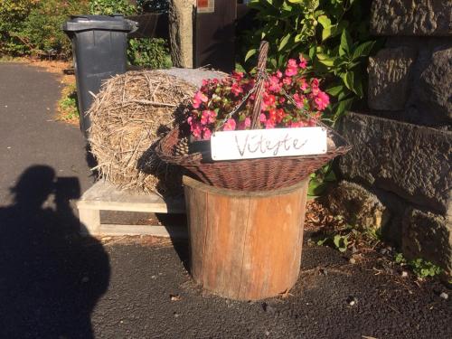 a flower basket with a sign that says valkyrie at Holiday Home Usedlost Nový Svět in Růžová