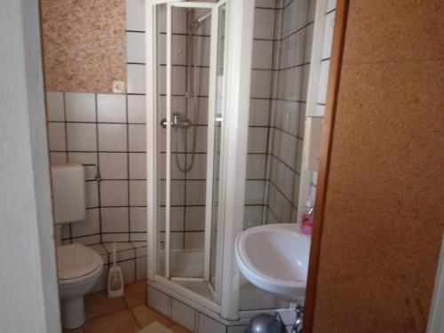a bathroom with a shower and a sink and a toilet at Gasthof Jacobshöhe in Kloster GrÃ¶ningen