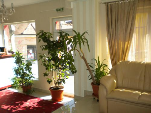 a living room with a couch and potted plants at Hotel Ary in Cluj-Napoca