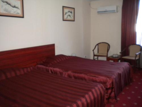 a hotel room with a bed and two chairs at Hotel Ary in Cluj-Napoca