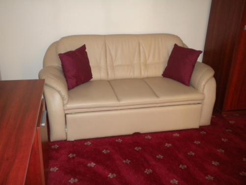 a white couch with two pillows on a red carpet at Hotel Ary in Cluj-Napoca