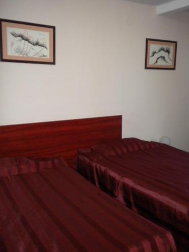 a hotel room with two beds and two pictures on the wall at Hotel Ary in Cluj-Napoca