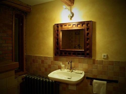 a bathroom with a sink and a mirror and radiator at Dvůr Olšiny -Hotel and Horse-riding in Karviná