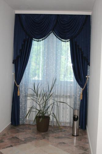 a window with blue curtains and a potted plant at MANEA Orsova in Orşova