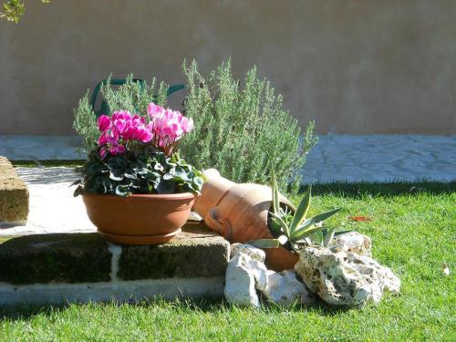 a couple of pots with flowers in a yard at B&B Silent Valley in Ripatransone