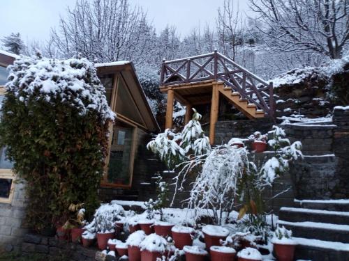 Himalyan Kothi Kais en invierno