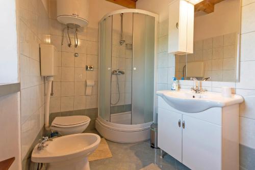 a bathroom with a toilet and a sink and a shower at Mariva in Modrušani (Haus für 5 Personen) in Žminj