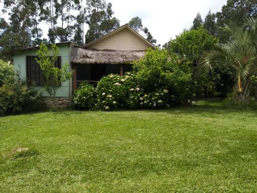 an old house with a grass yard at Piccolo Paradiso in La Pedrera