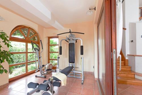 a fitness room with a gym with a treadmill at Villa Aurata in Ližnjan (Haus für 8-9 Personen) in Ližnjan
