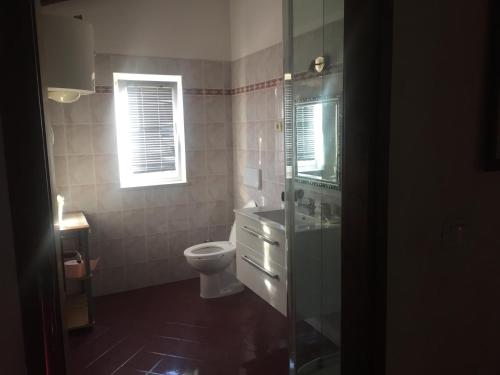 a bathroom with a toilet and a sink and a window at Apartments Tajana in Novigrad Istria