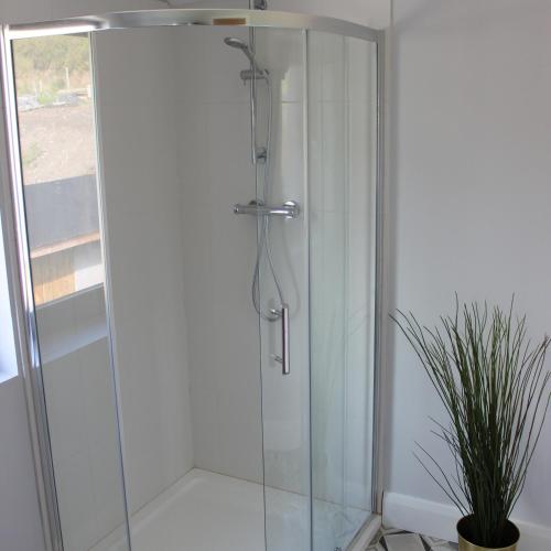 a shower with a glass door next to a plant at Lakeside Studio 2 Loft Apartment in Enniskillen