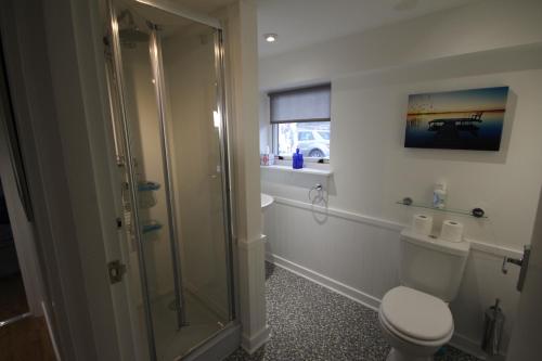 a bathroom with a shower and a toilet and a sink at Easter Arr Courtyard Apartment in Nairn