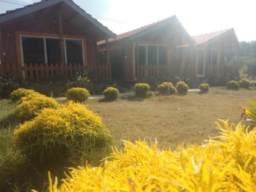 a house with a yard in front of it at Trippr Chikkamagaluru in Chikmagalūr