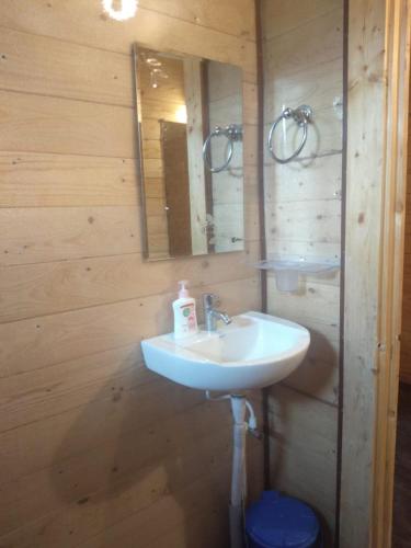 a bathroom with a sink and a mirror at Trippr Chikkamagaluru in Chikmagalūr