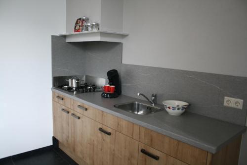 a kitchen with a sink and a counter top at De Borg Vakantie Appartementen in Winterswijk